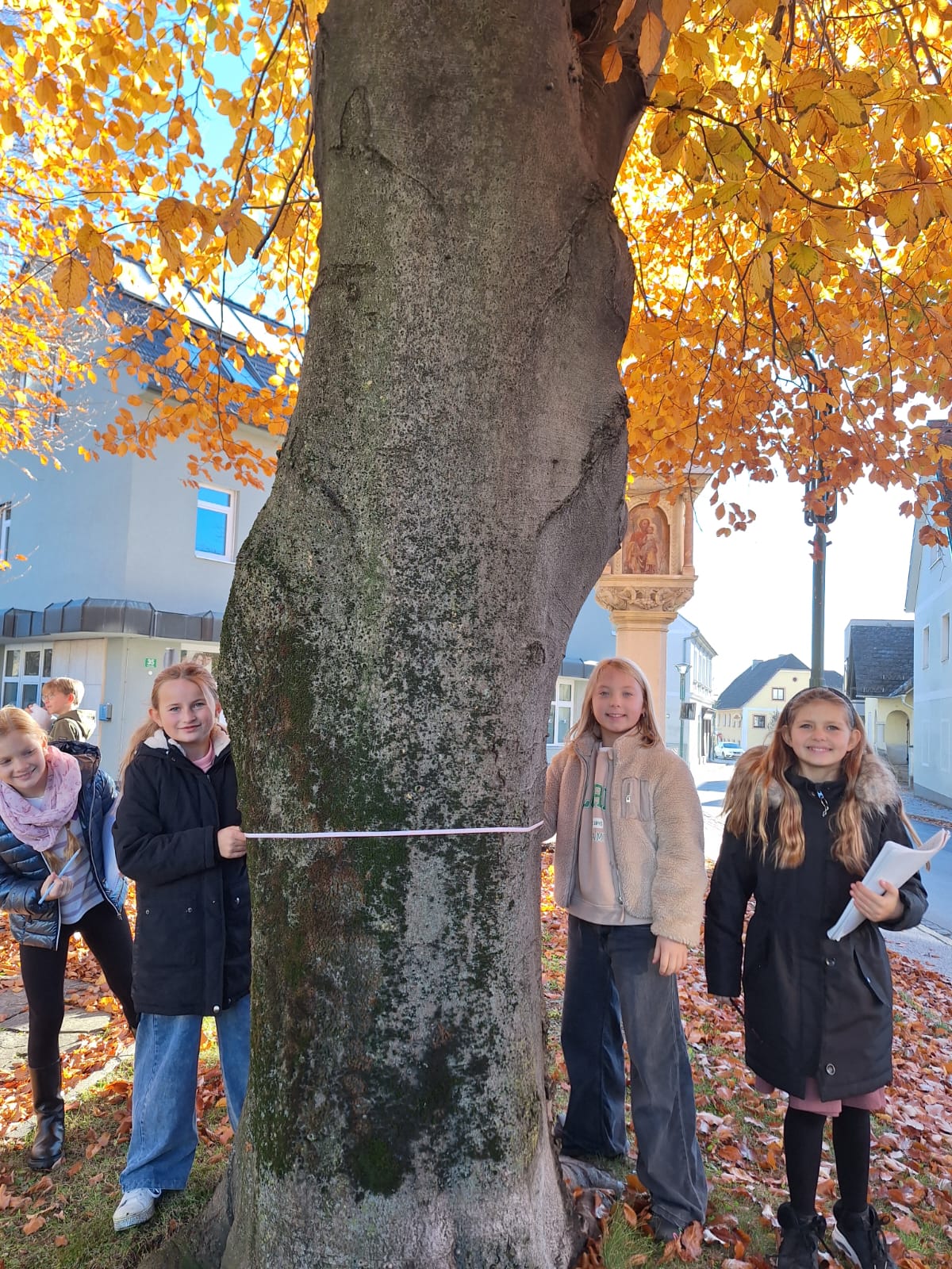 Mathematik in der Natur