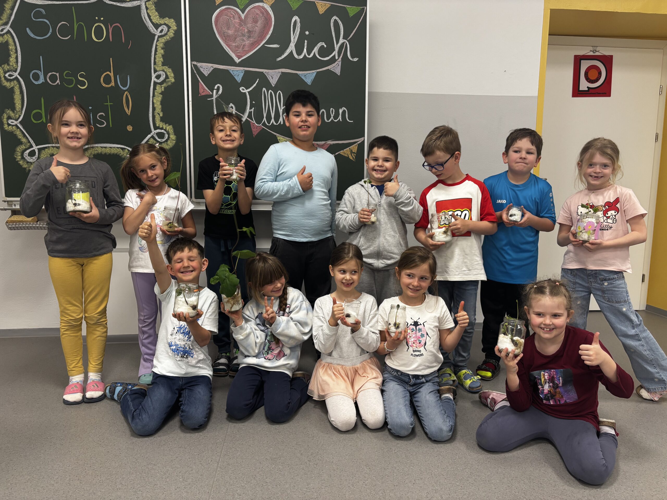 Die 1b Klasse zieht eigene Käferbohnen